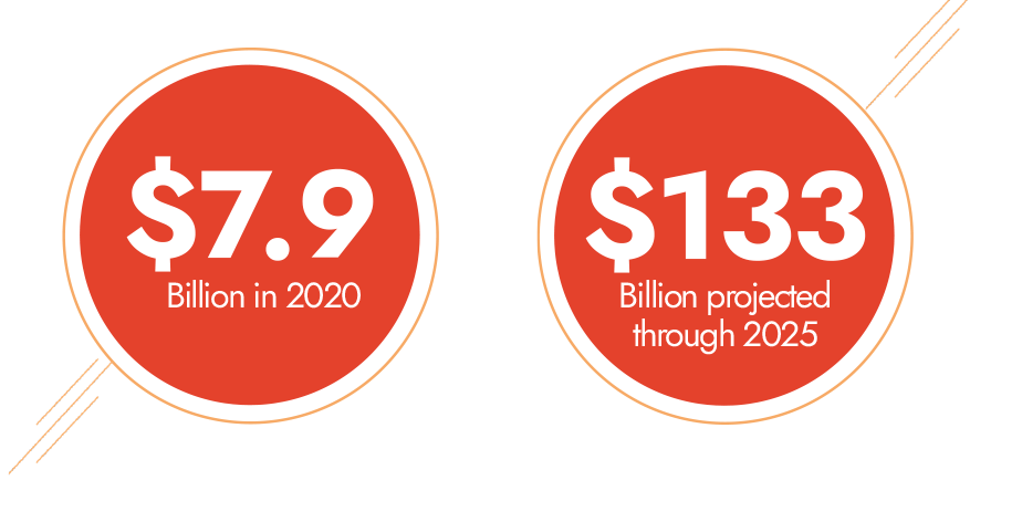 $7.9 Billion in 2020 and $133 Billion projected through 2025 icons