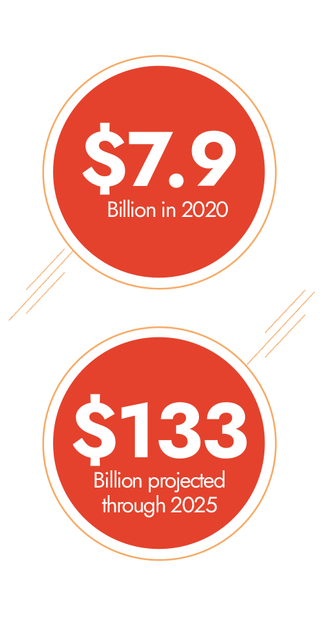 $7.9 Billion in 2020 and $133 Billion projected through 2025 icons mobile